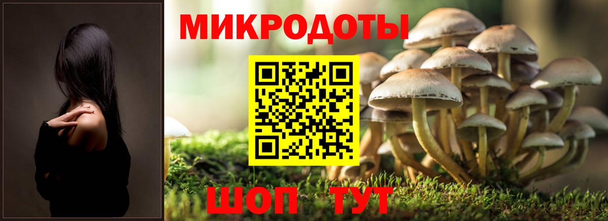 Карабулак  Псилоцибиновые грибы Magic Shrooms  Вход с VPN 
